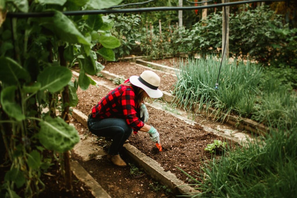 Woman in a hat tending to a vegetable garden, surrounded by lush plants, showcasing outdoor gardening.